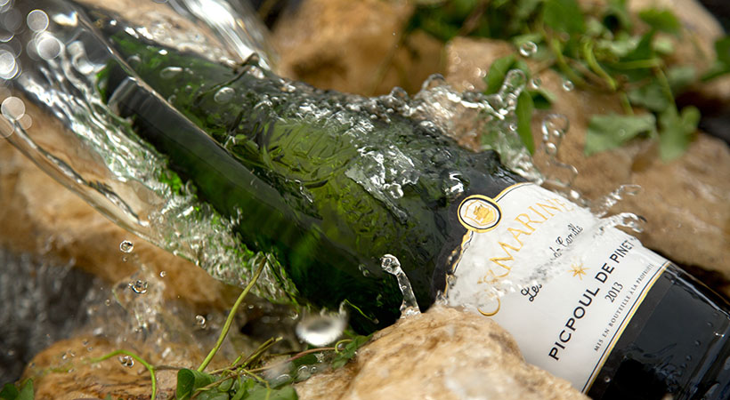 Wine Photography France