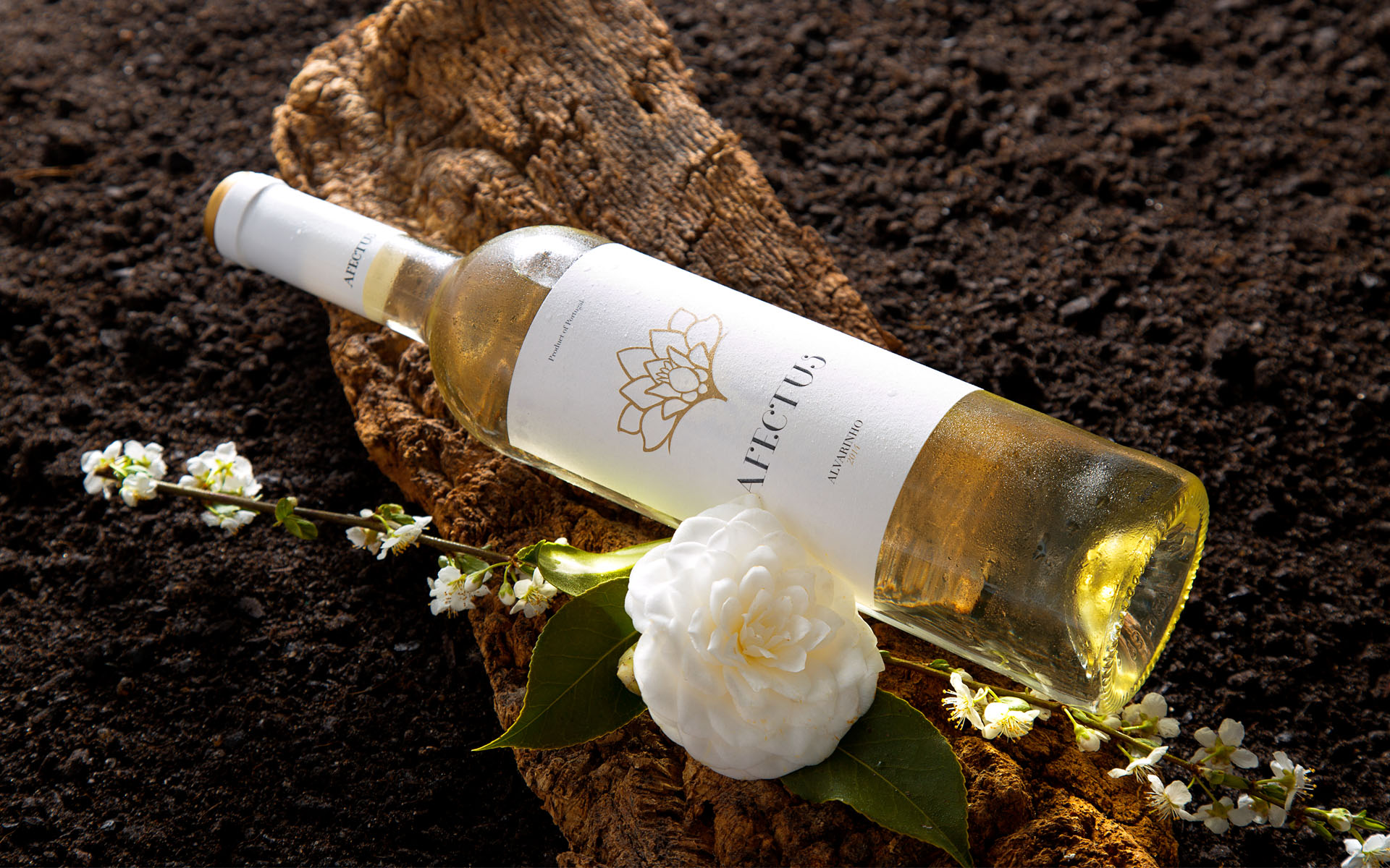 Wine Label Design