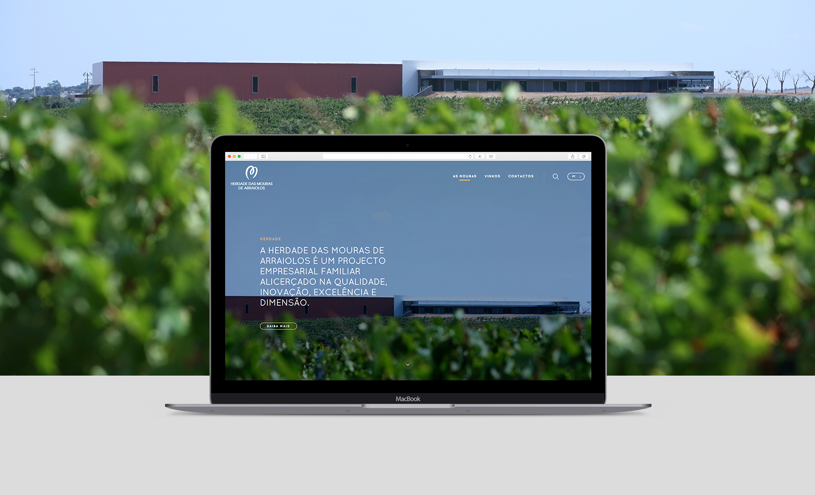 Responsive Website