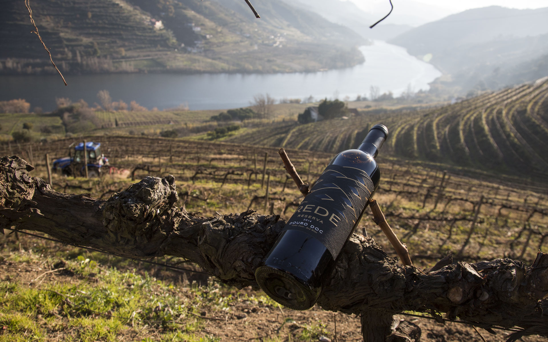 Wine Label Design
