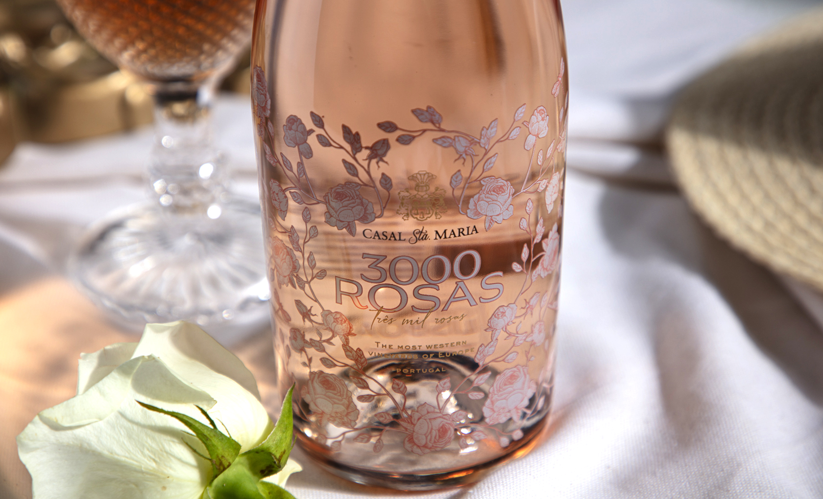 3000 Rosas Rosé