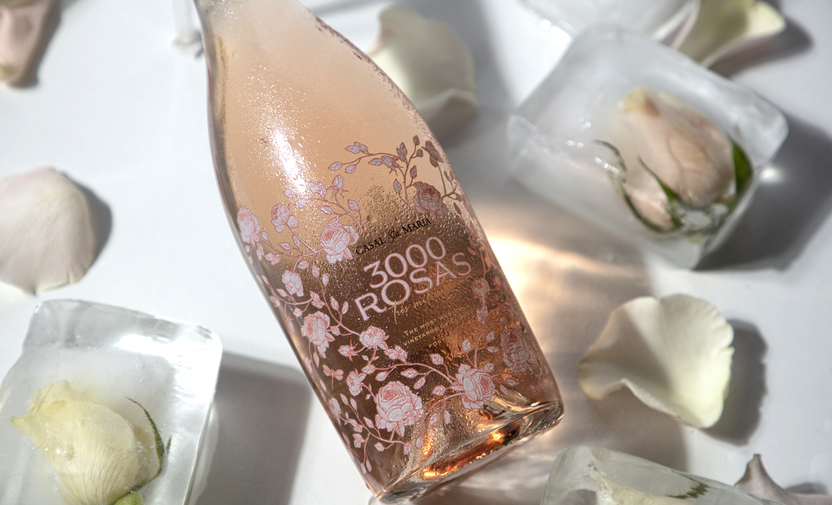 3000 Rosas Rosé