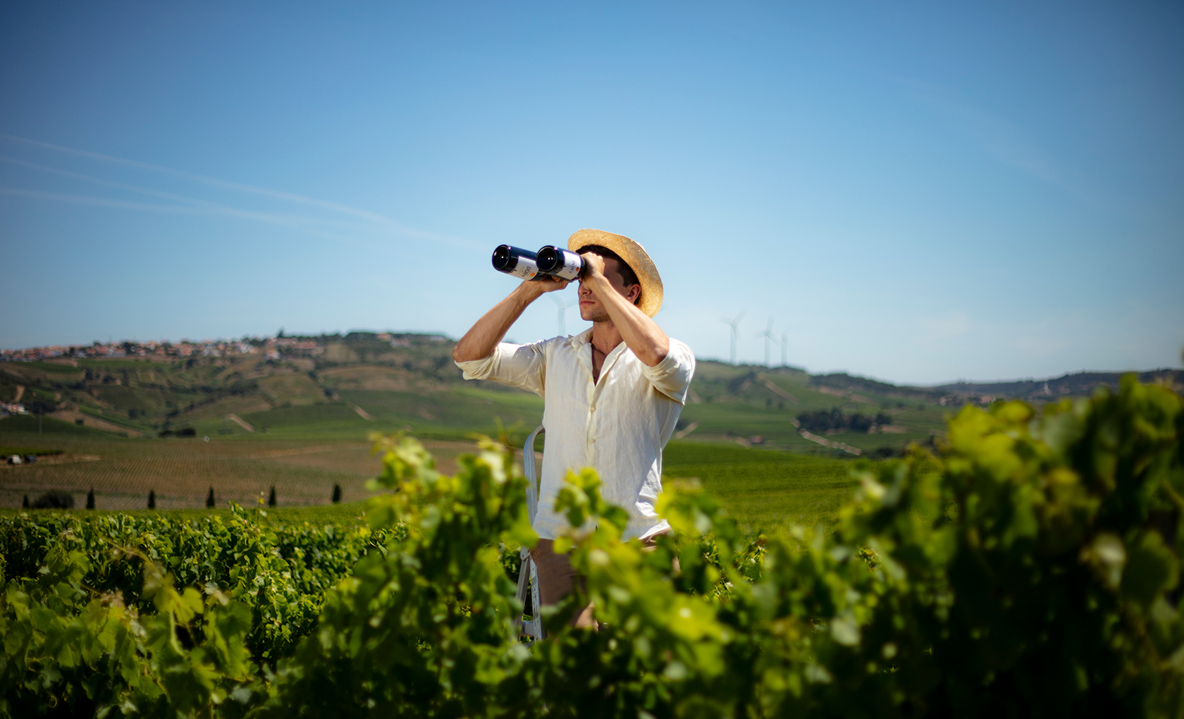 Adega Mãe Atlantic Wines