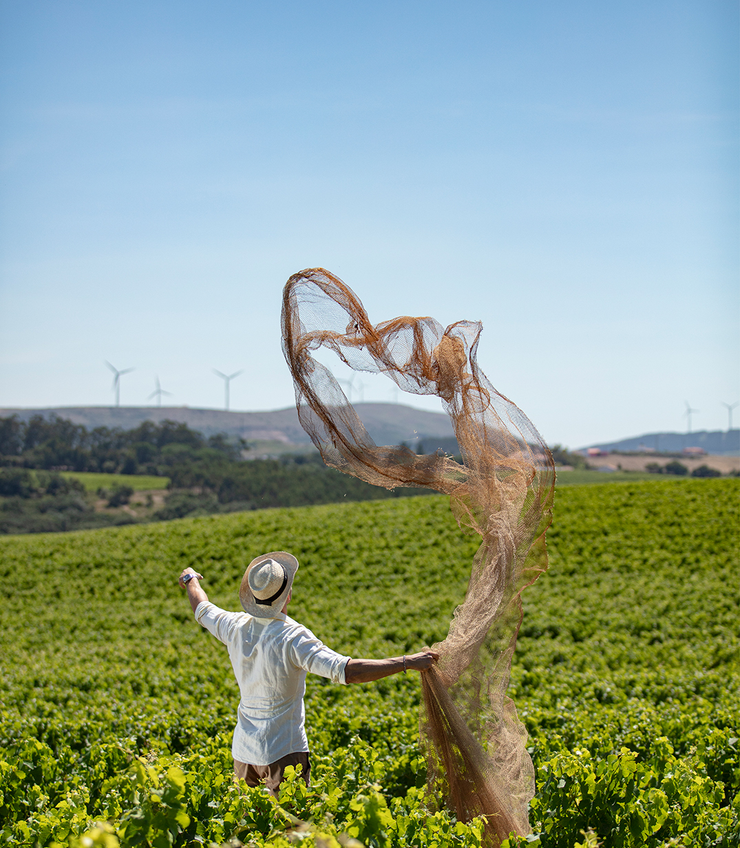 Adega Mãe Atlantic Wines