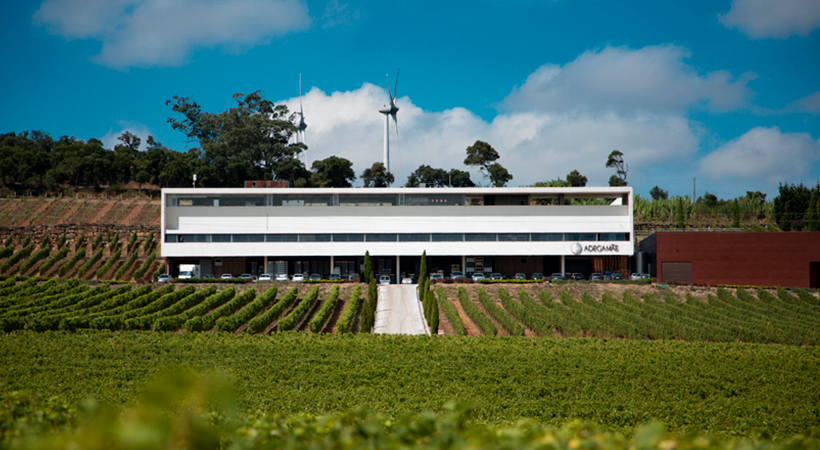 Adega Mãe Atlantic Wines