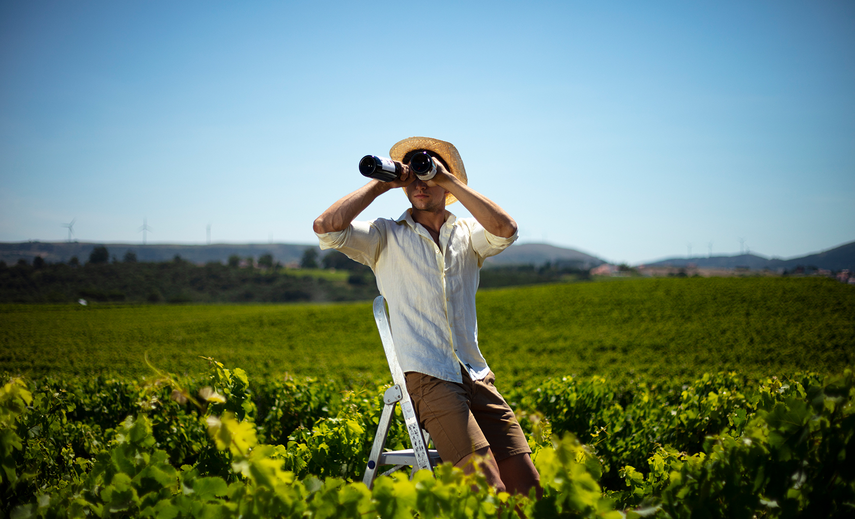 Adega Mãe Atlantic Wines