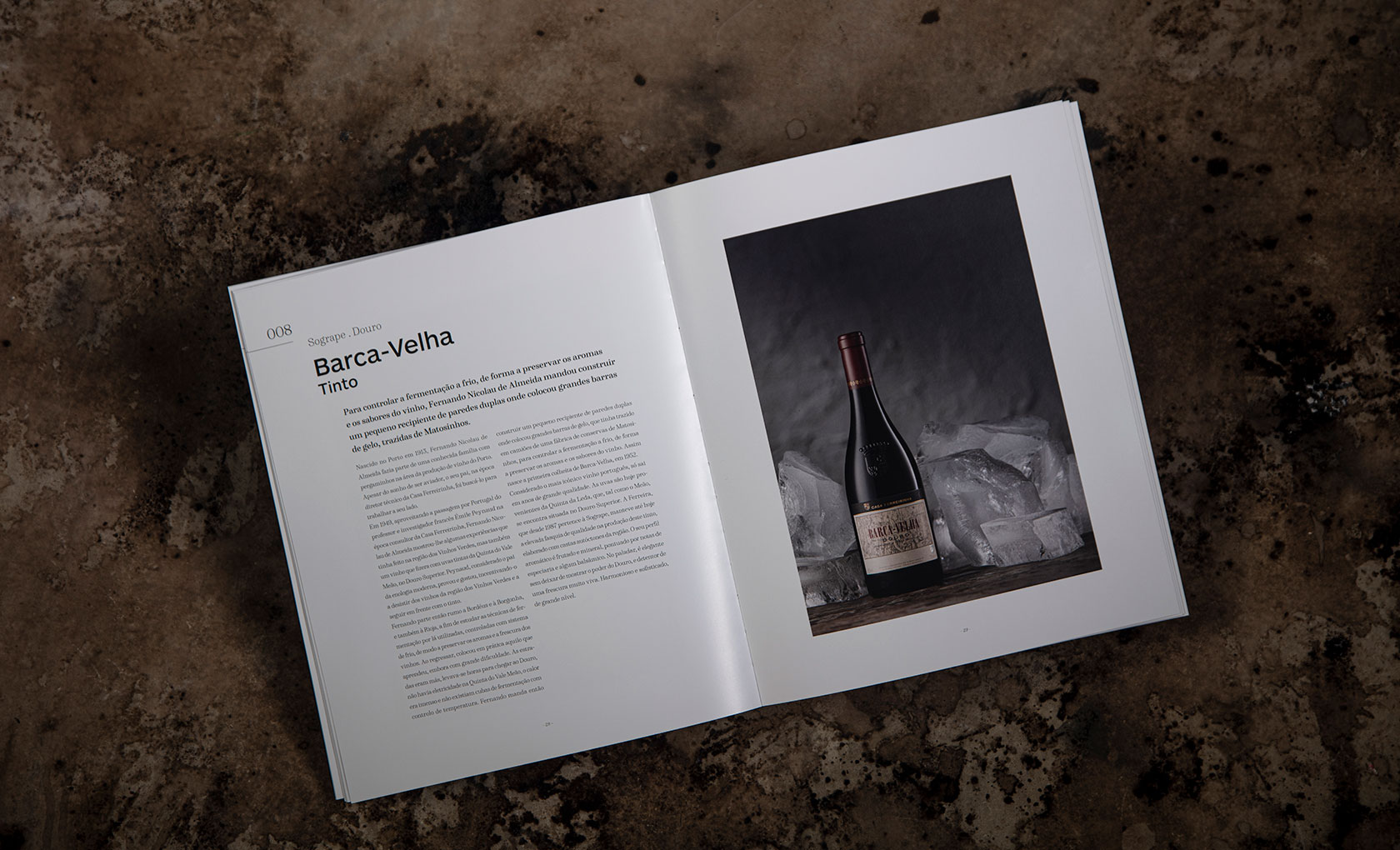 100 Great Portuguese Wines
